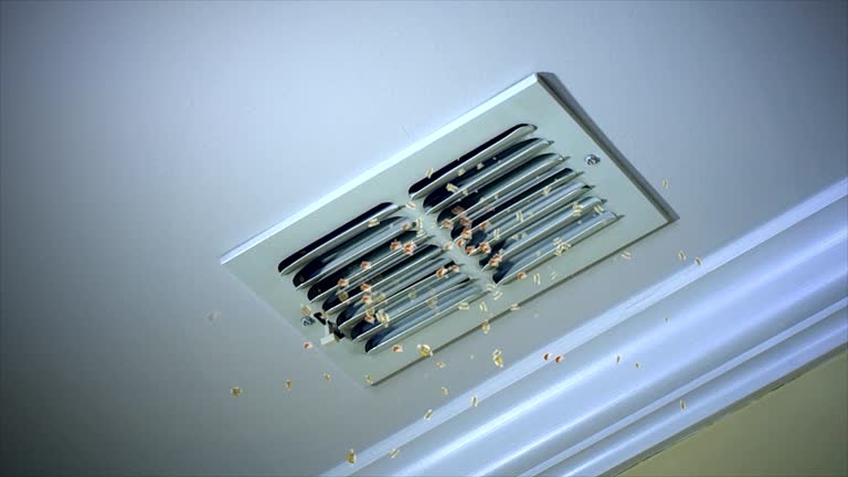 Best Residential Air Duct Cleaning  in Ponder, TX