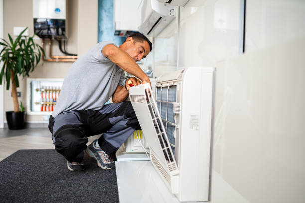 Air Duct Mold Removal in Ponder, TX