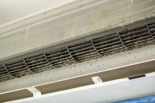 Best Air Duct Cleaning Near Me  in Ponder, TX
